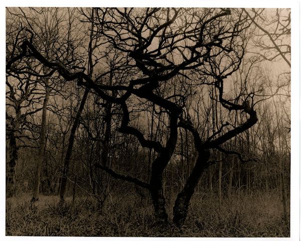 2023 First Darkroom Work (Part 1)
