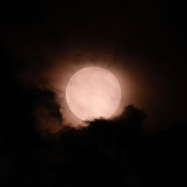 Moon