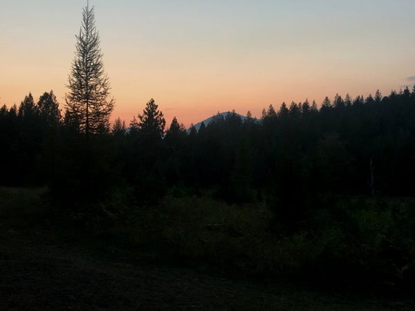 Nightfall