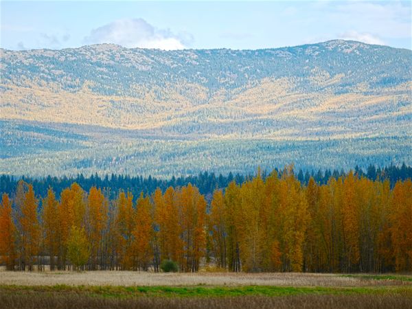 Falling for the Kootenai