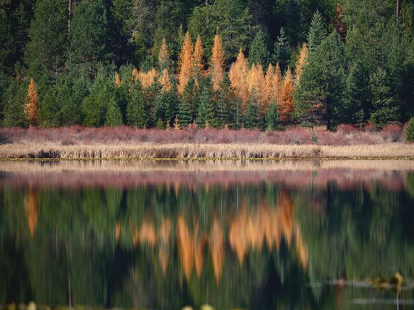 Gamlin Lake Moods