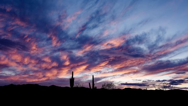 Kofa Mountains