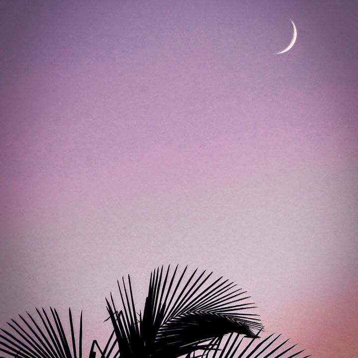 Night Counsel