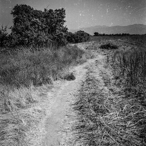 One Path - Instrumental