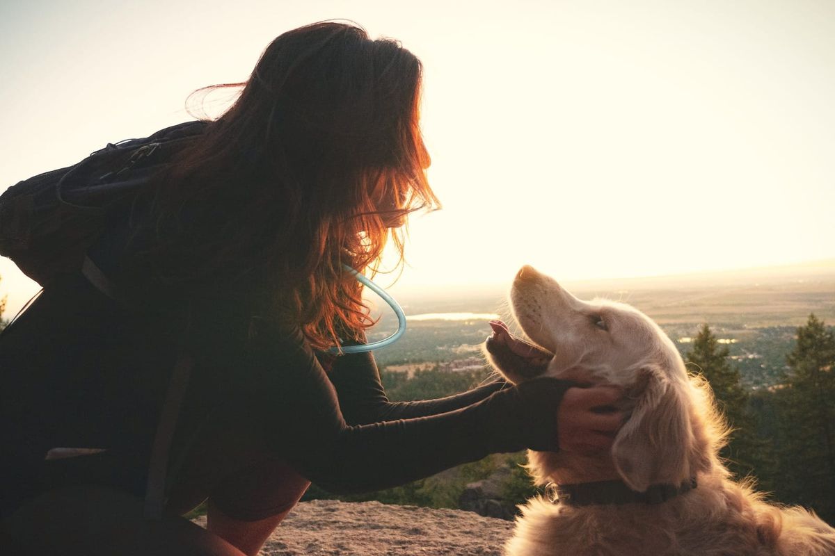A woman crouching to greet a happy golden retriever at sunrise on a hilltop