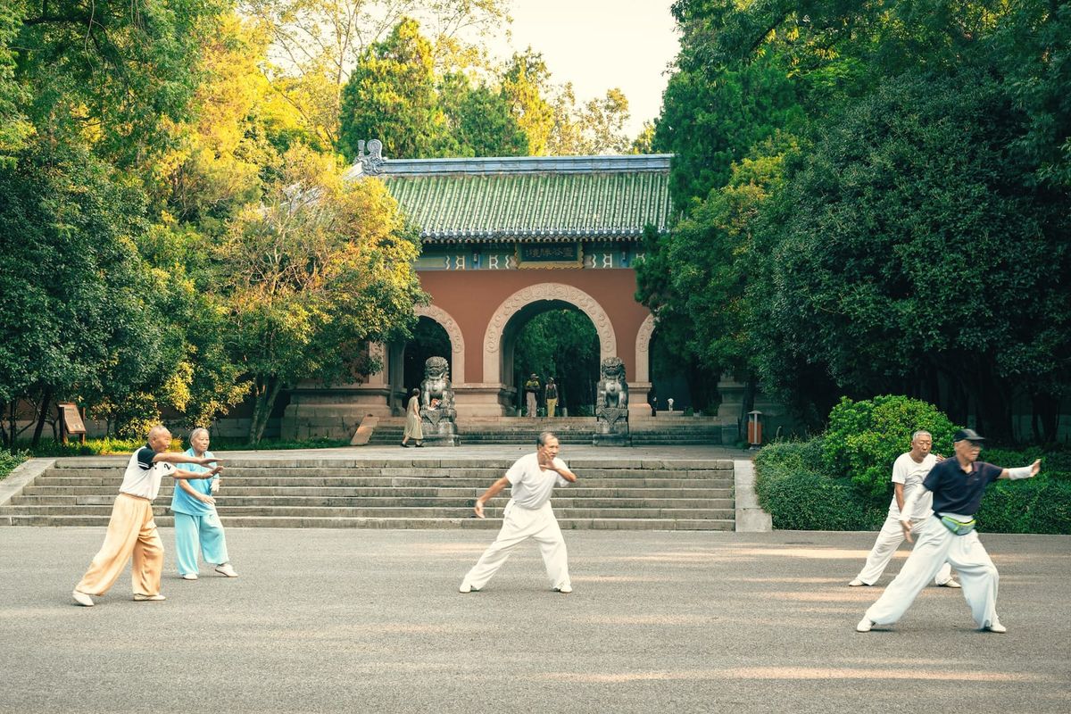 A small group practising tai chi in a tree-lined temple courtyard