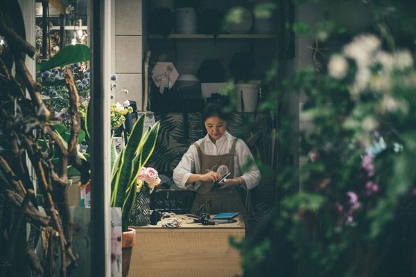A florist working at her counter, seen through the plants of her shop