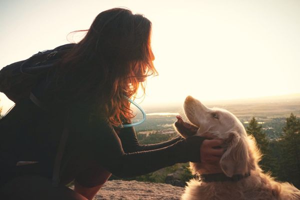A woman crouching to greet a happy golden retriever at sunrise on a hilltop