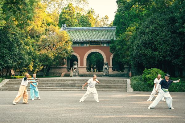 A small group practising tai chi in a tree-lined temple courtyard