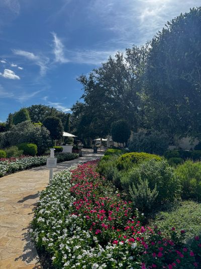 The Last Seven — Wk. 33