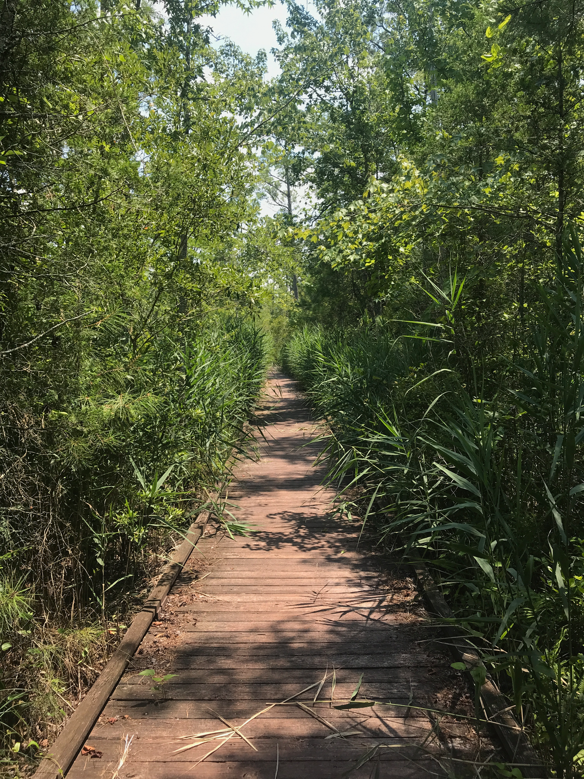 Inner and Outer Journeys