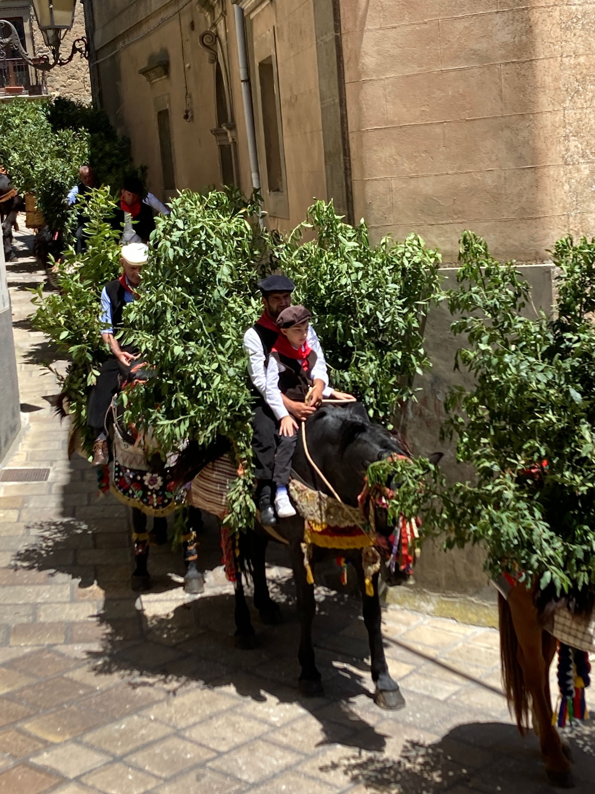 The Festival of San Silvestro
