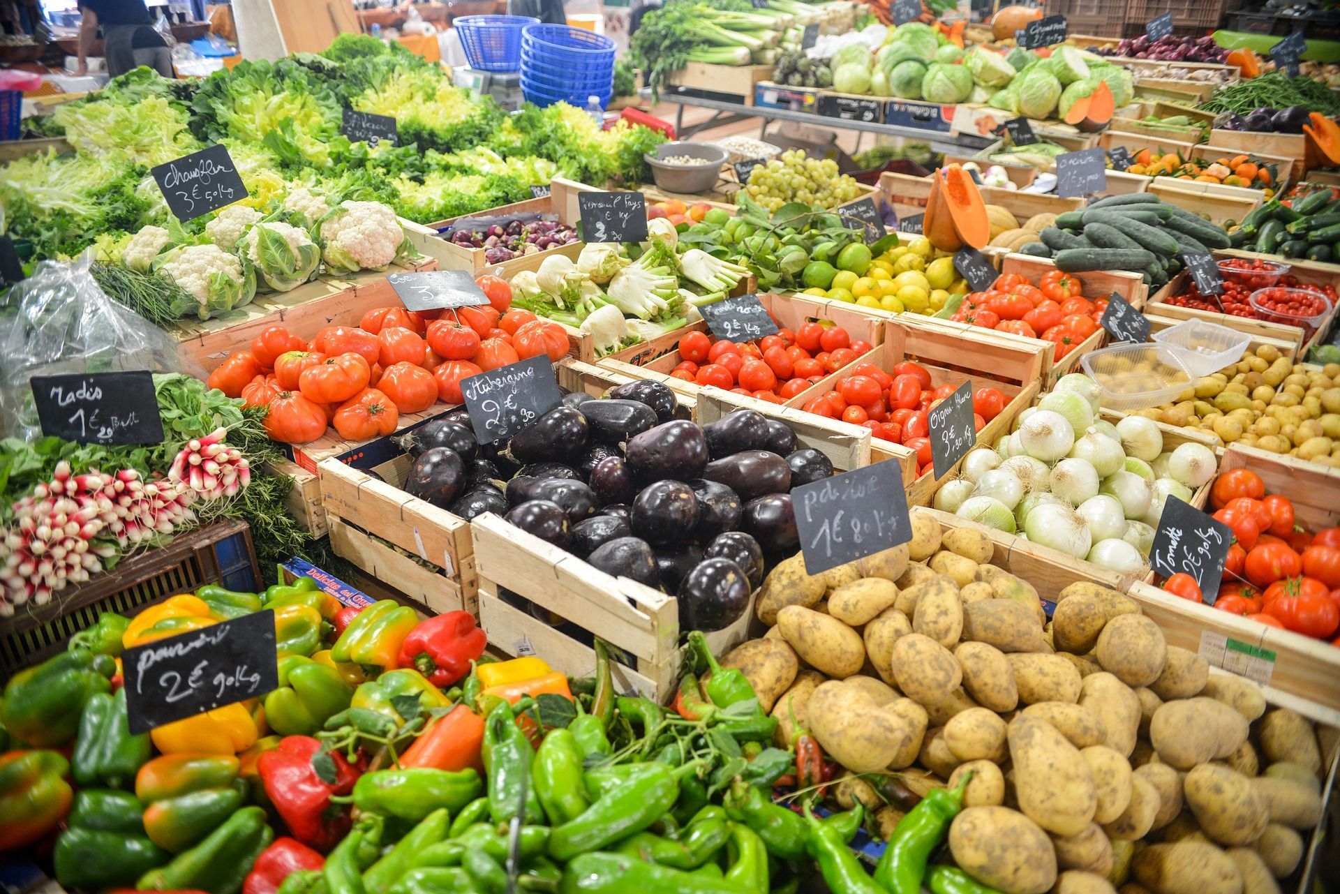 Meet Your New Neighbor, Food