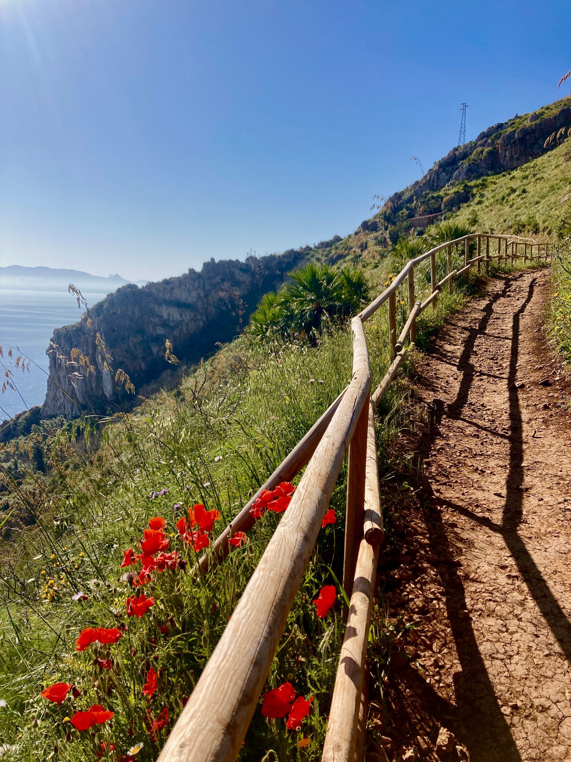 A Walk at Lo Zingaro