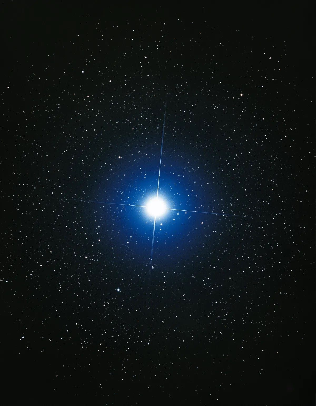 The Dog Star