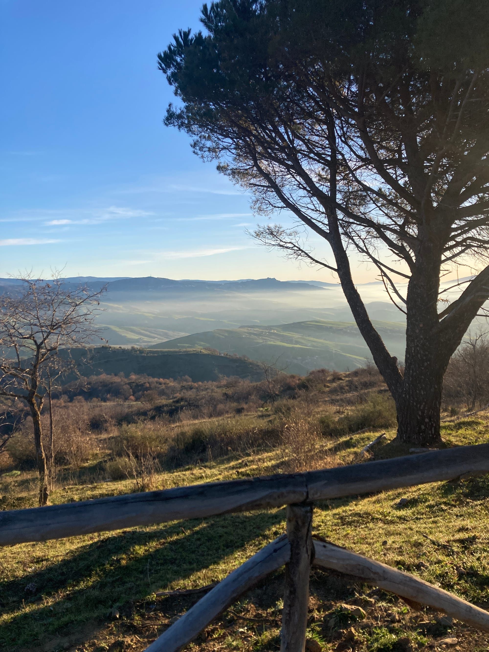 On Sicily