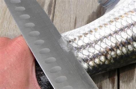 A hand holding a fish by the tail and scaling it with a knife