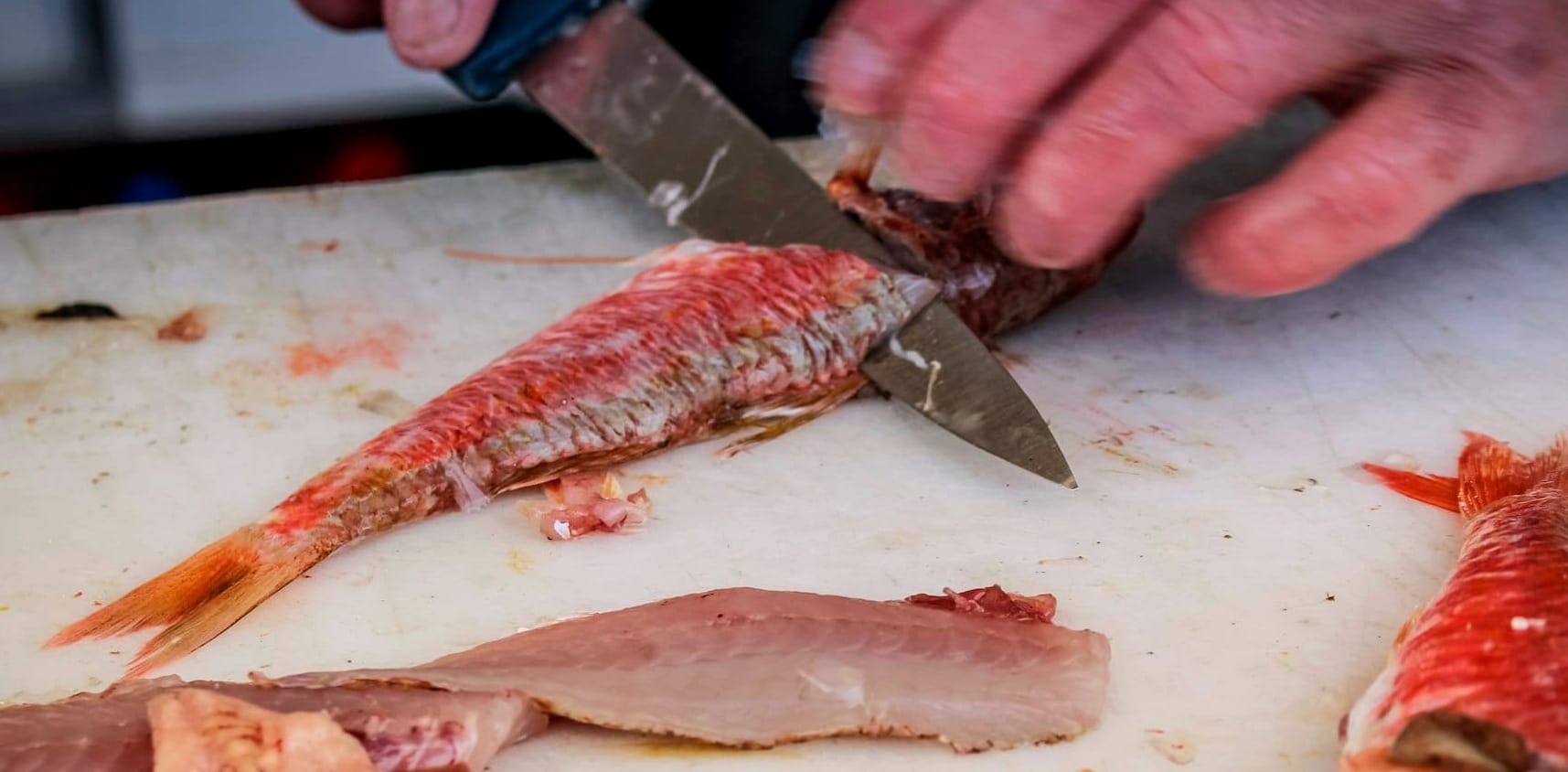 Fish being filleted