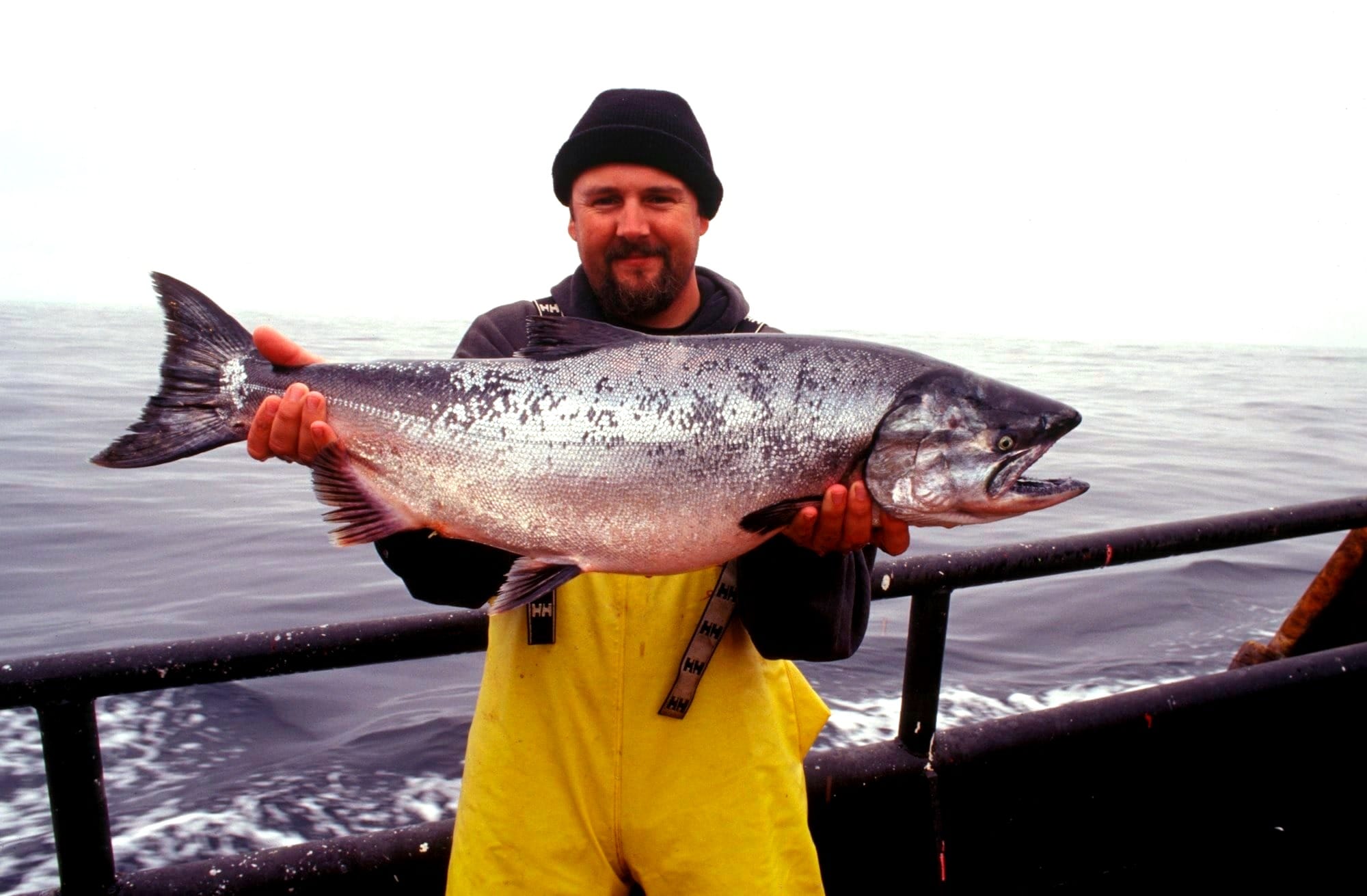 Fisherman holding a whole salmon