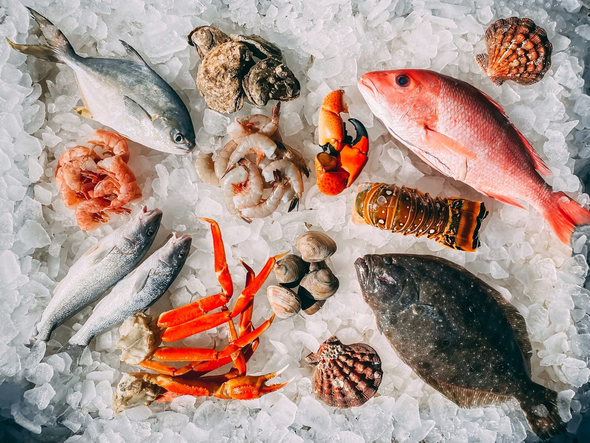 A variety of fresh seafood over ice