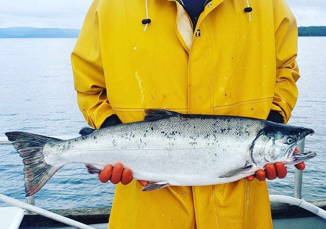 A close-up of a local fisherman on a boat, holding a beautifully fresh, whole wild salmon. The lighting is bright and crisp, highlighting the authenticity and hard work of the trade.