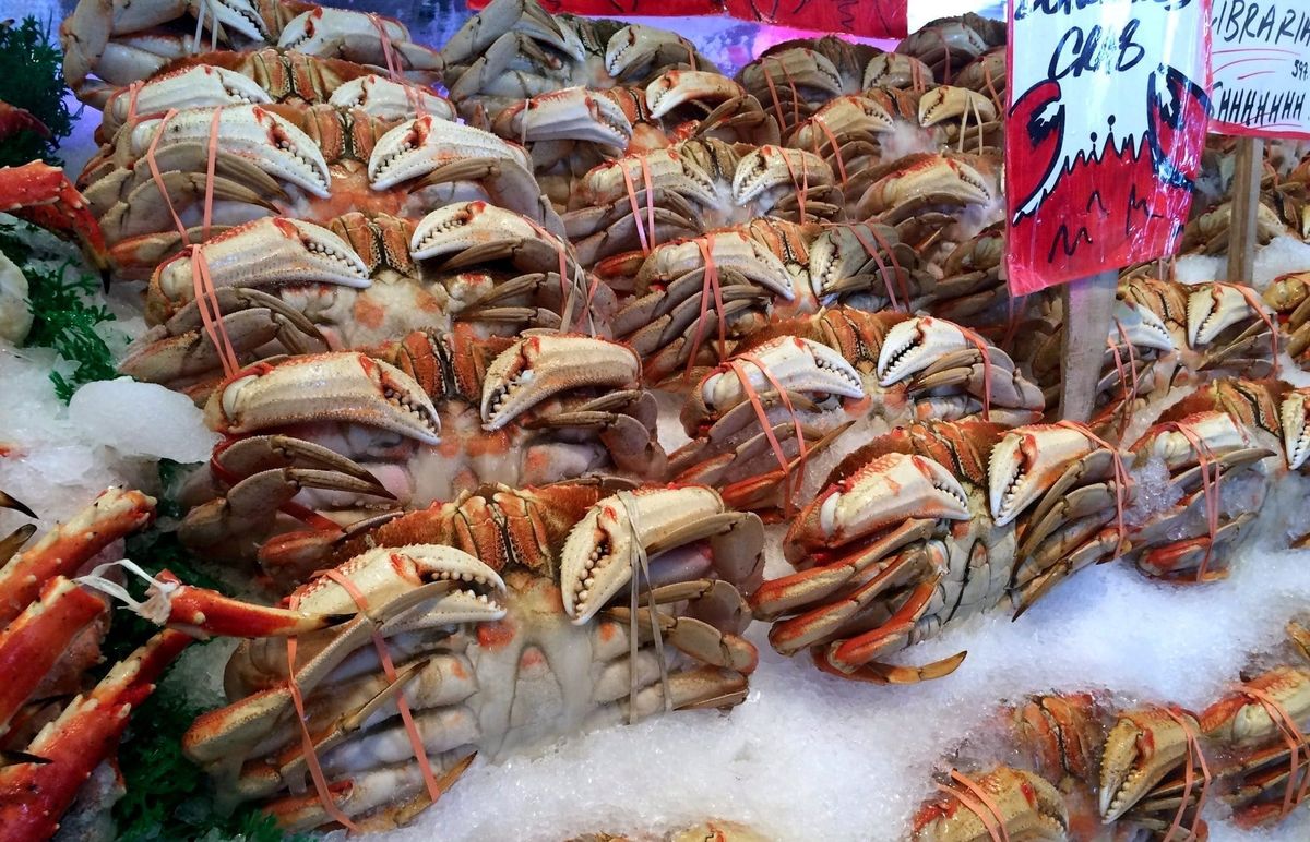 Crabs stored over ice