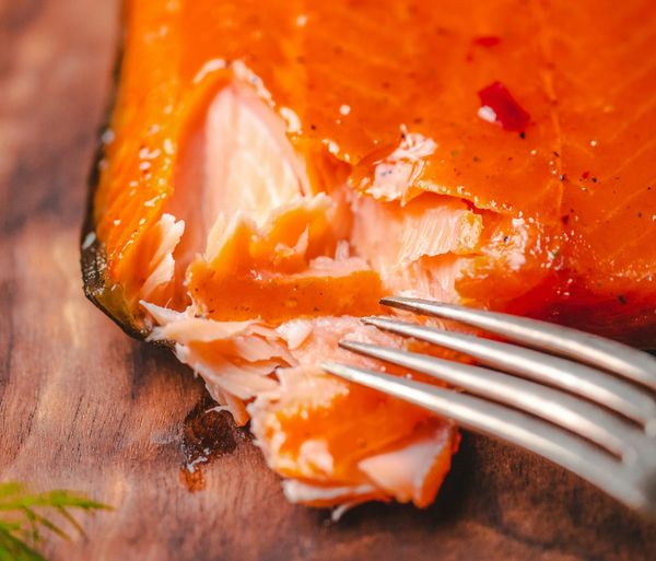 Baked salmon fillet flaked with a fork