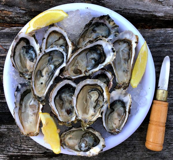 How to Shuck Oysters: A Guide for Unlocking the Flavor of Fresh Oysters