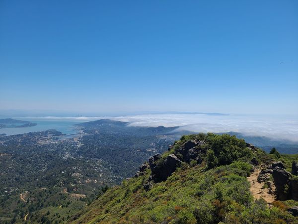 Muir woods Stinson Beach & Mount Tamalpais