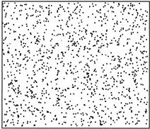 image tir&eacute;e de http://www.biology-online.org/articles/stomatal_patterning_angiosperms/figures.html