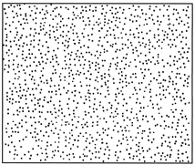 image tir&eacute;e de http://www.biology-online.org/articles/stomatal_patterning_angiosperms/figures.html