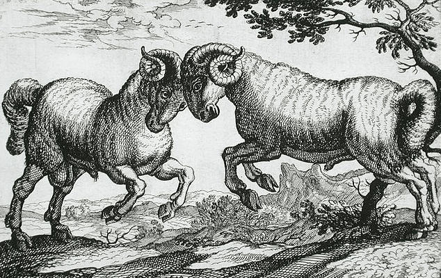 2 b&eacute;liers se battent, gravure Hollandaise de 1610, domaine public