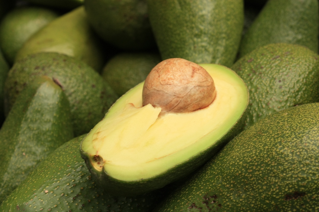 Avocado by Jaanus Silla Via Flicker Creative Commons
