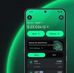 Si14 Crypto Wallet: A Next-Generation Crypto Wallet