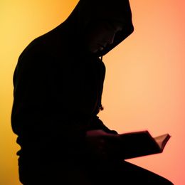 Ox Alpha, an anonymously released free coding model, is impressing developers