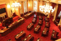 California votes to bar public officials from issuing memecoins