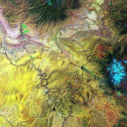Google says its AI built better disease and disaster forecasts than human experts did