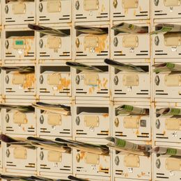 AI agents given money to run businesses produced spam, unsolicited bills and no revenue