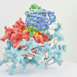 AlphaFold helps biologists find a cellular off switch tied to cancer-cell movement