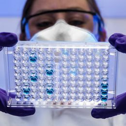Microsoft Research launches Quine, an AI system for biology research