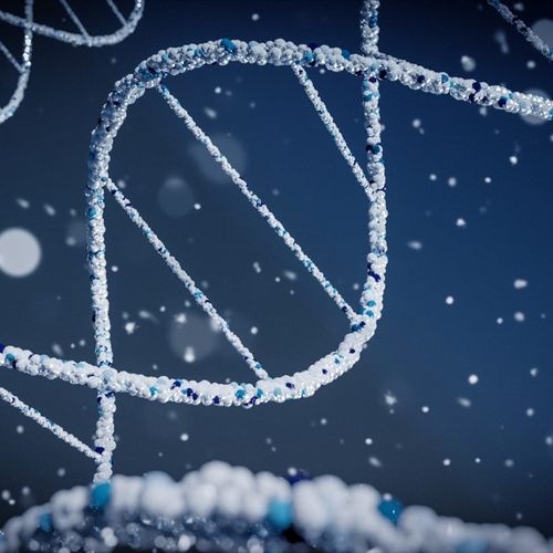 Anthropic ships Claude Science, an AI workbench that runs inside the lab