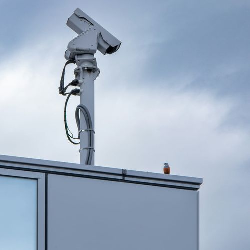 SEC moves to renew Babel Street deal for AI agents that track cellphone locations