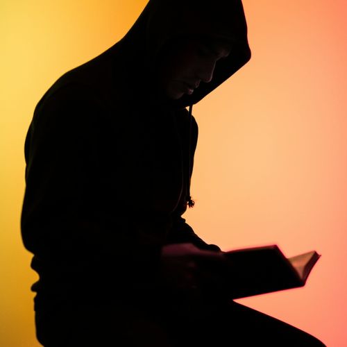 Ox Alpha, an anonymously released free coding model, is impressing developers