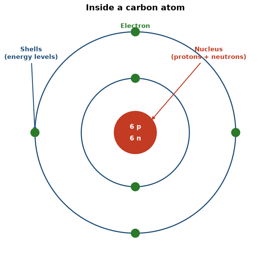 Labelled diagram of a carbon atom: a central nucleus containing 6 protons and 6 neutrons, surrounded by two shells holding 2 and 4 electrons