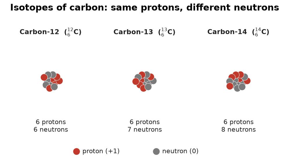 Three carbon nuclei side by side — carbon-12, carbon-13 and carbon-14 — each with 6 red protons but 6, 7 and 8 grey neutrons respectively
