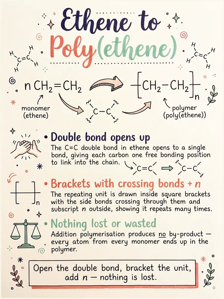 Ethene to Poly(ethene) — study notes