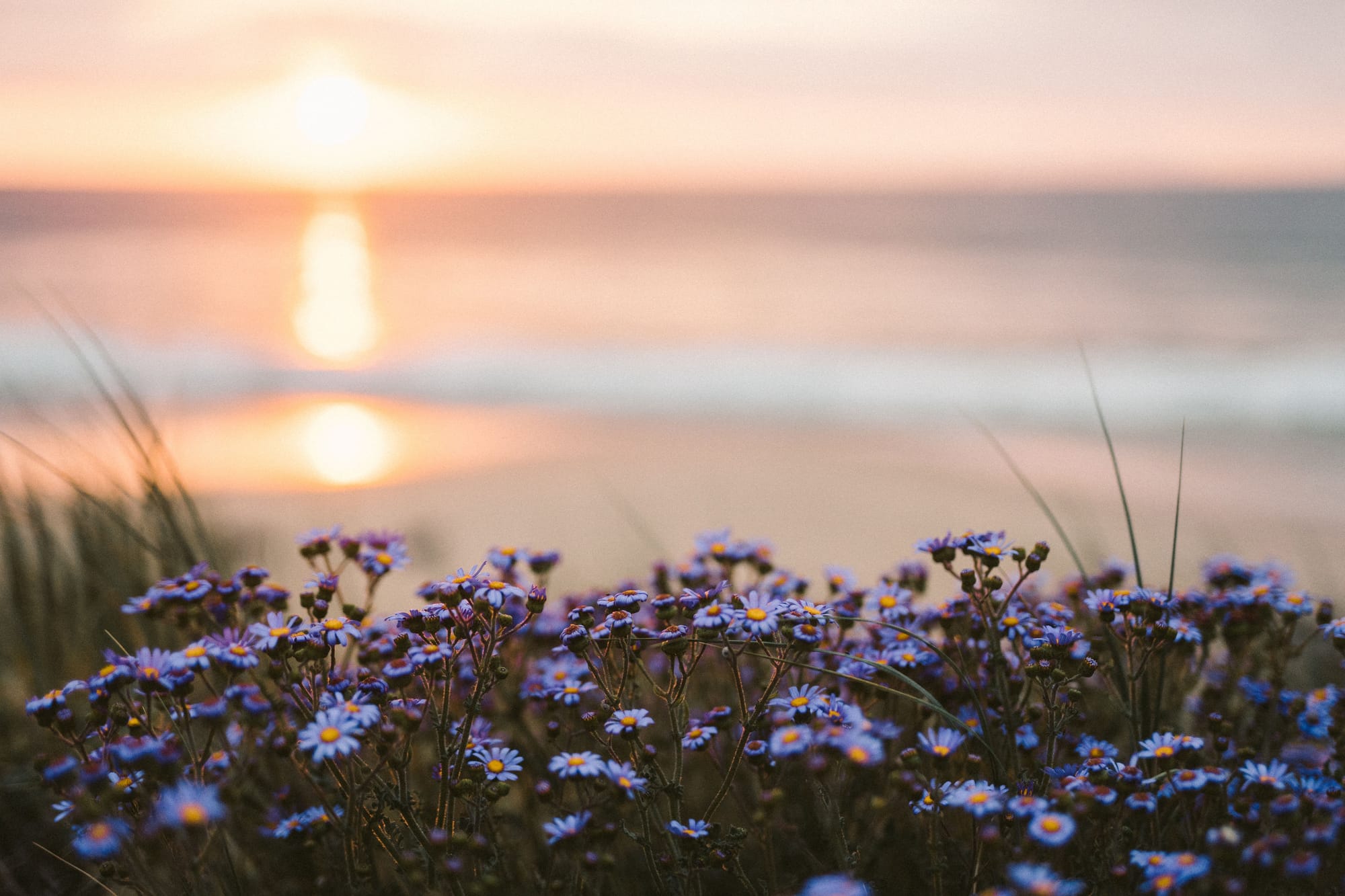 The Gratitude Practice That Changes What You Can Hold