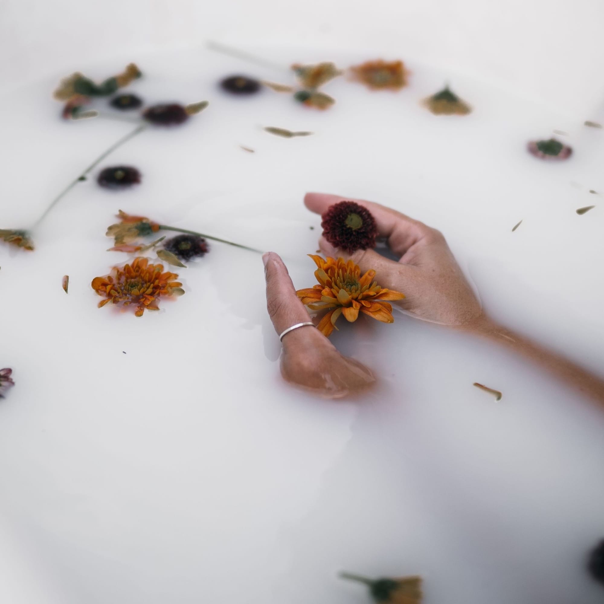 Beyond the Doshas: How Ayurveda Can Reconnect You With Feminine Wisdom