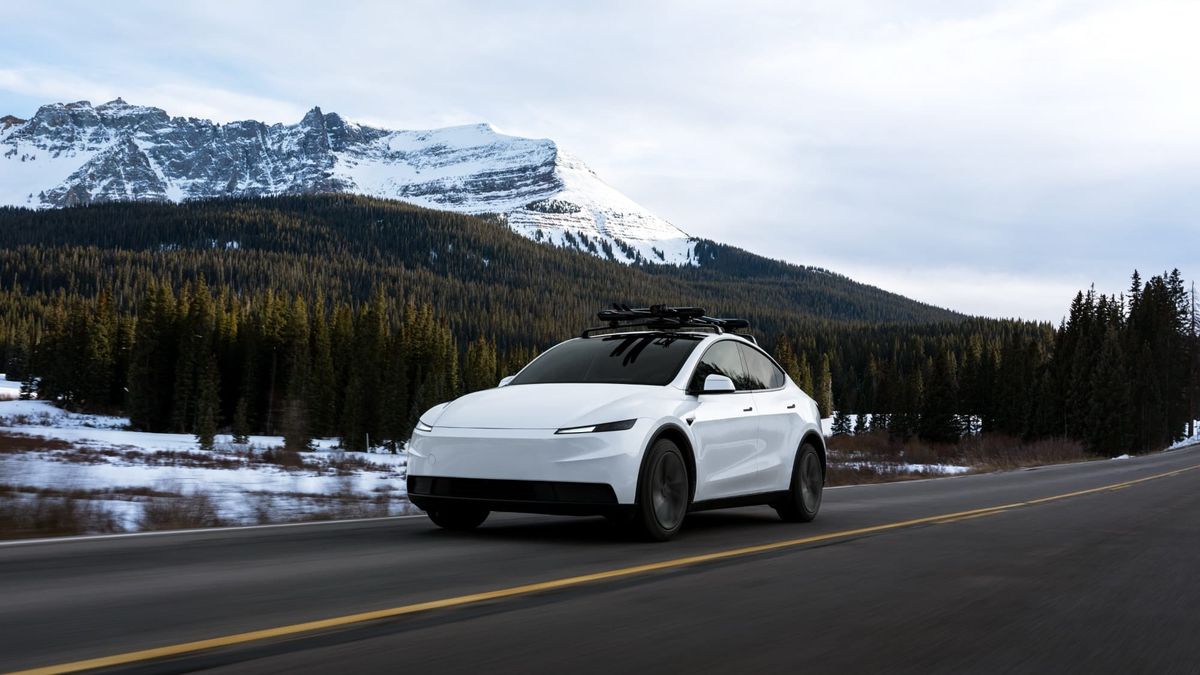 Tesla Model Y Sales and Market Share Are Surging