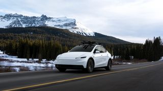 Tesla Model Y Sales and Market Share Are Surging